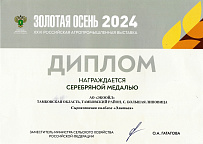Диплом «Золотая осень» 2024 о награждении серебряной медалью